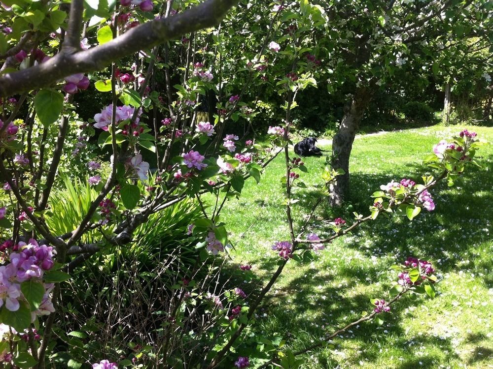 Arbour House B&B Swanage Eksteriør bilde
